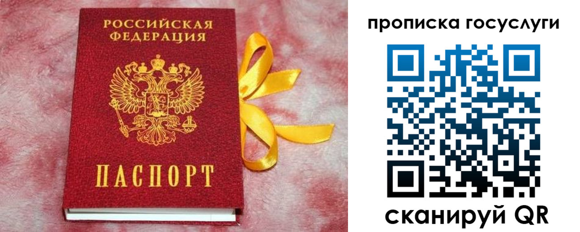 прописка законно в Шатуре